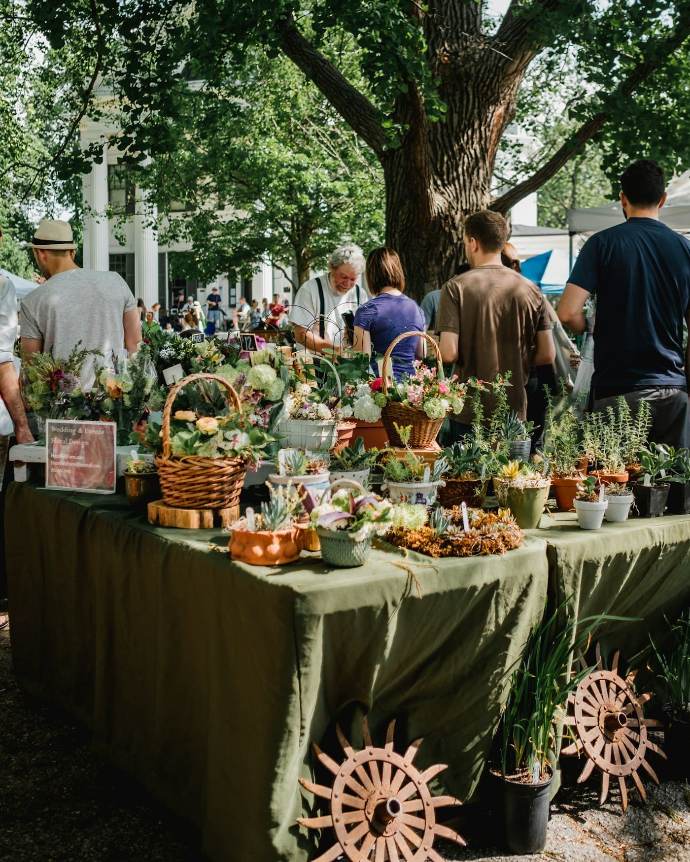 A community farmers market table beneath shade trees