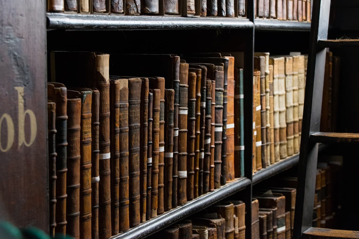 Rows of leather-bound law books on a library shelf